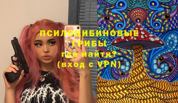 герыч Арсеньев