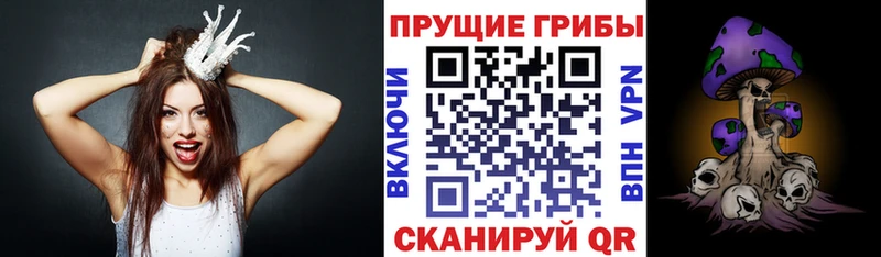 купить  цена  Ленск  Галлюциногенные грибы прущие грибы 